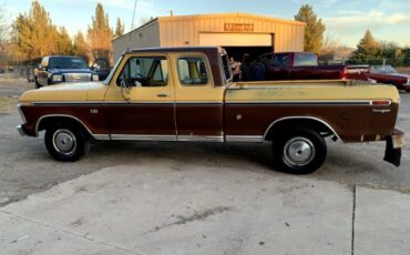 Unknown-F-100-1974-Brown-Brown-4