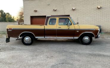 Unknown-F-100-1974-Brown-Brown-5