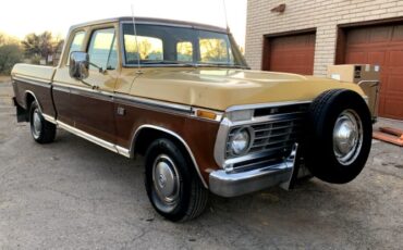 Unknown-F-100-1974-Brown-Brown-6