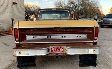 Unknown-F-100-1974-Brown-Brown-8