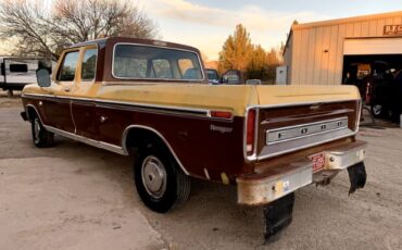 Unknown-F-100-1974-Brown-Brown-9