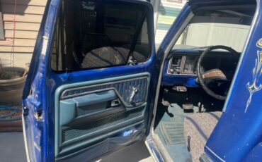 Unknown-F-100-1975-Blue-Blue-1