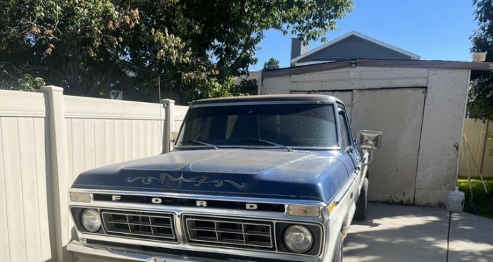 Unknown-F-100-1975-Blue-Blue-4