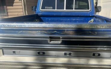 Unknown-F-100-1975-Blue-Blue-5