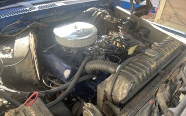 Unknown-F-100-1975-Blue-Blue-7