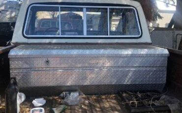 Unknown-F-250-1974-Brown-1