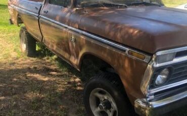 Unknown-F-250-1974-Brown