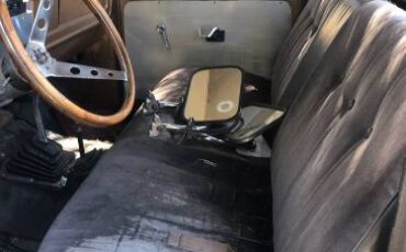 Unknown-F-250-1974-Brown-4