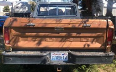 Unknown-F-250-1974-Brown-6