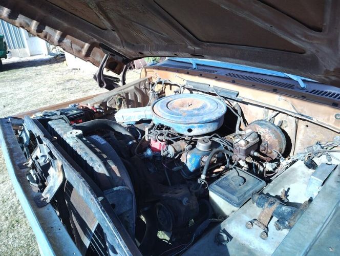 Unknown-F-250-1975-Brown-Brown-1