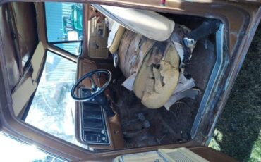 Unknown-F-250-1975-Brown-Brown-2