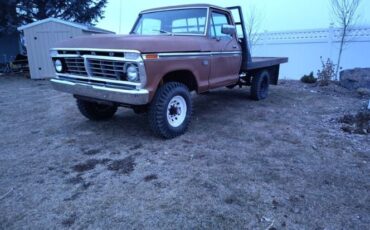 Unknown-F-250-1975-Brown-Brown