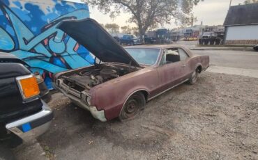 Unknown-F85-1966-Burgundy-Black-7