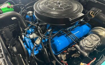 Unknown-Fairlane-1959-Blue-12
