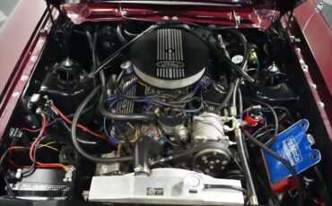 Unknown-Fairlane-1964-Vintage-Burgundy-Black-1