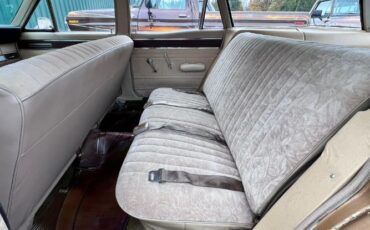 Unknown-Fairlane-1966-Metallic-Gold-10