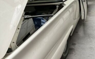 Unknown-Fairlane-500-1957-White-White-5