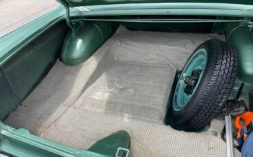 Unknown-Fairlane-500-1959-Green-Beige-6