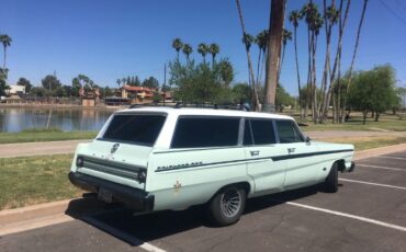 Unknown-Fairlane-500-1965-Sage-Green-Tan-2
