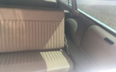 Unknown-Fairlane-500-1965-Sage-Green-Tan-7