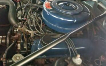 Unknown-Fairlane-500-1966-8