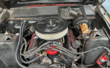 Unknown-Fairlane-500-1969-Black-Red-8