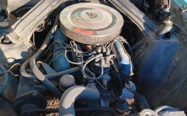 Unknown-Falcon-1963-Blue-BlueWhite-6