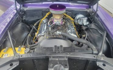 Unknown-Firebird-1967-Purple-16