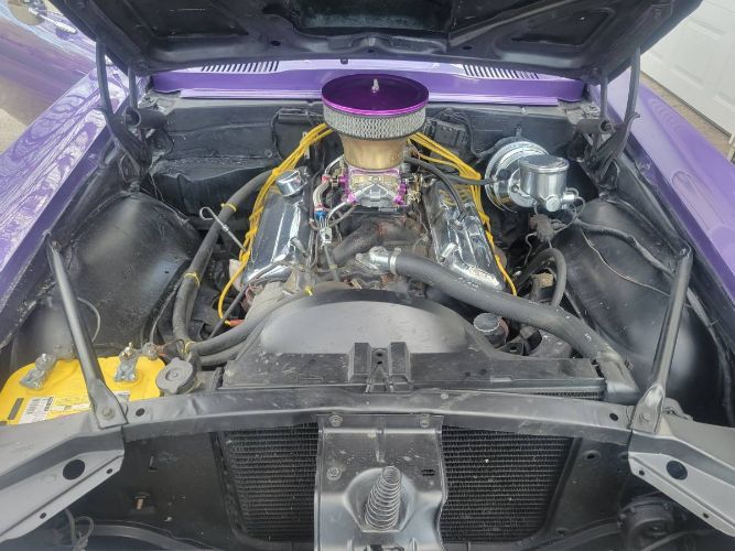 Unknown-Firebird-1967-Purple-16