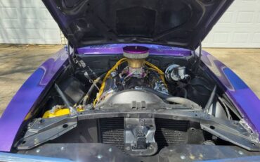 Unknown-Firebird-1967-Purple-19