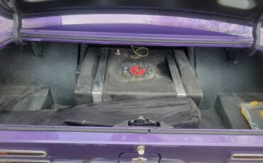 Unknown-Firebird-1967-Purple-2