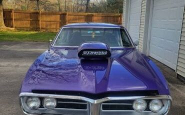 Unknown-Firebird-1967-Purple-23