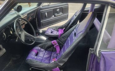 Unknown-Firebird-1967-Purple-7
