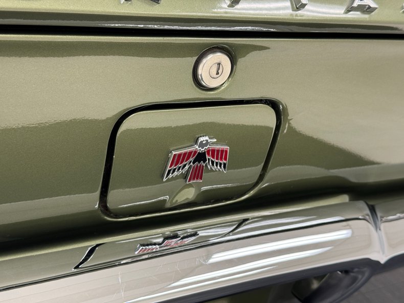 Unknown-Firebird-1967-Verdoro-Green-Black-27