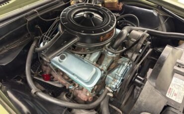 Unknown-Firebird-1967-Verdoro-Green-Black-32