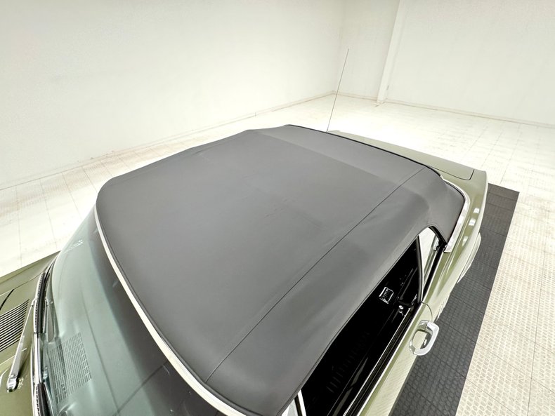 Unknown-Firebird-1967-Verdoro-Green-Black-9