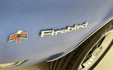 Unknown-Firebird-1968-Blue-Parchment-13