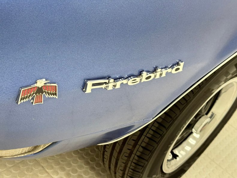 Unknown-Firebird-1968-Blue-Parchment-13