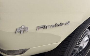 Unknown-Firebird-1968-Primavera-Beige-Light-Green-15