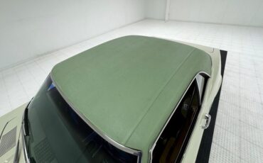Unknown-Firebird-1968-Primavera-Beige-Light-Green-19