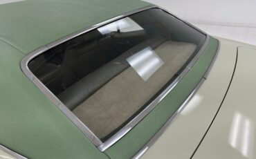 Unknown-Firebird-1968-Primavera-Beige-Light-Green-22