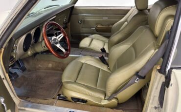 Unknown-Firebird-1968-Primavera-Beige-Light-Green-37