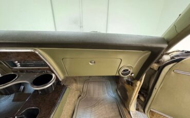 Unknown-Firebird-1968-Primavera-Beige-Light-Green-39
