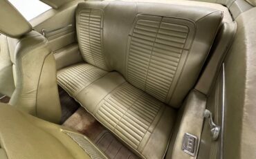 Unknown-Firebird-1968-Primavera-Beige-Light-Green-5