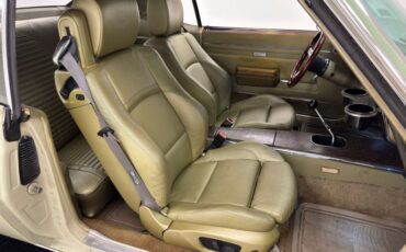 Unknown-Firebird-1968-Primavera-Beige-Light-Green-6