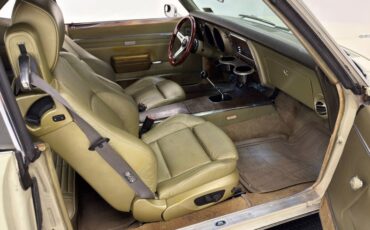 Unknown-Firebird-1968-Primavera-Beige-Light-Green-7