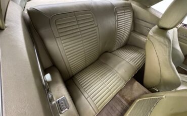Unknown-Firebird-1968-Primavera-Beige-Light-Green-8
