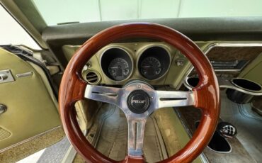 Unknown-Firebird-1968-Primavera-Beige-Light-Green-9