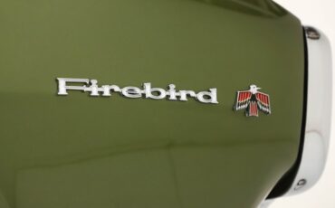 Unknown-Firebird-1968-Verdoro-Green-Black-25