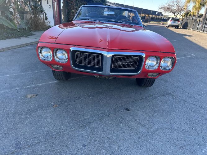 Unknown-Firebird-1969-Orange-Black-7